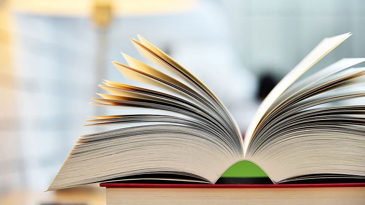 Telediario 1 - "Potosí", "Zangolotino" y "adamar": las palabras menos conocidas del diccionario de la lengua española