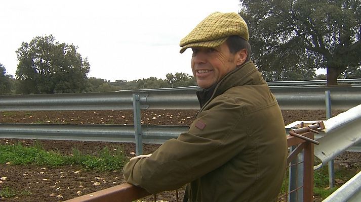 Tendido cero - Tendido cero - 23/11/19