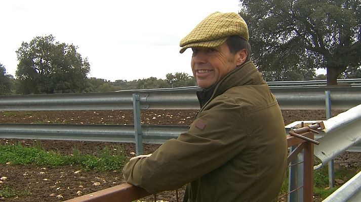 Tendido cero - Tendido cero - 23/11/19