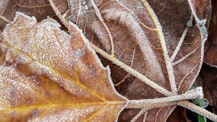 El tiempo - Cinco comunidades en alerta naranja por viento o fenómenos costeros