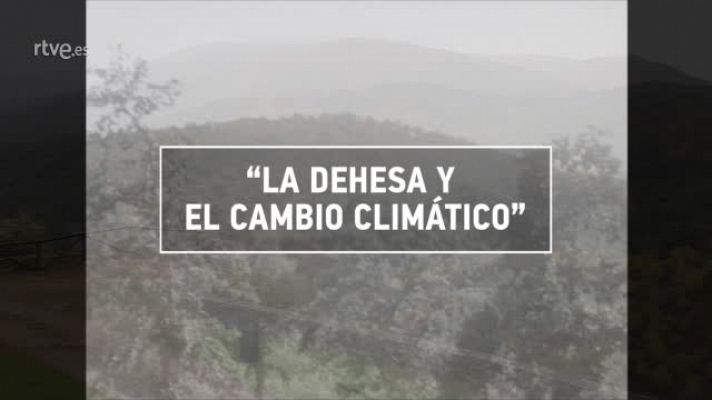  - Encinas y alcornoques bajo presión