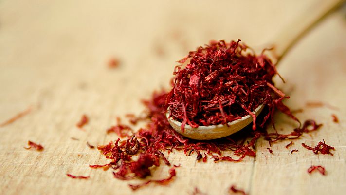 Telediario 1 - El azafrán de La Mancha prevé cosechar un 40% menos