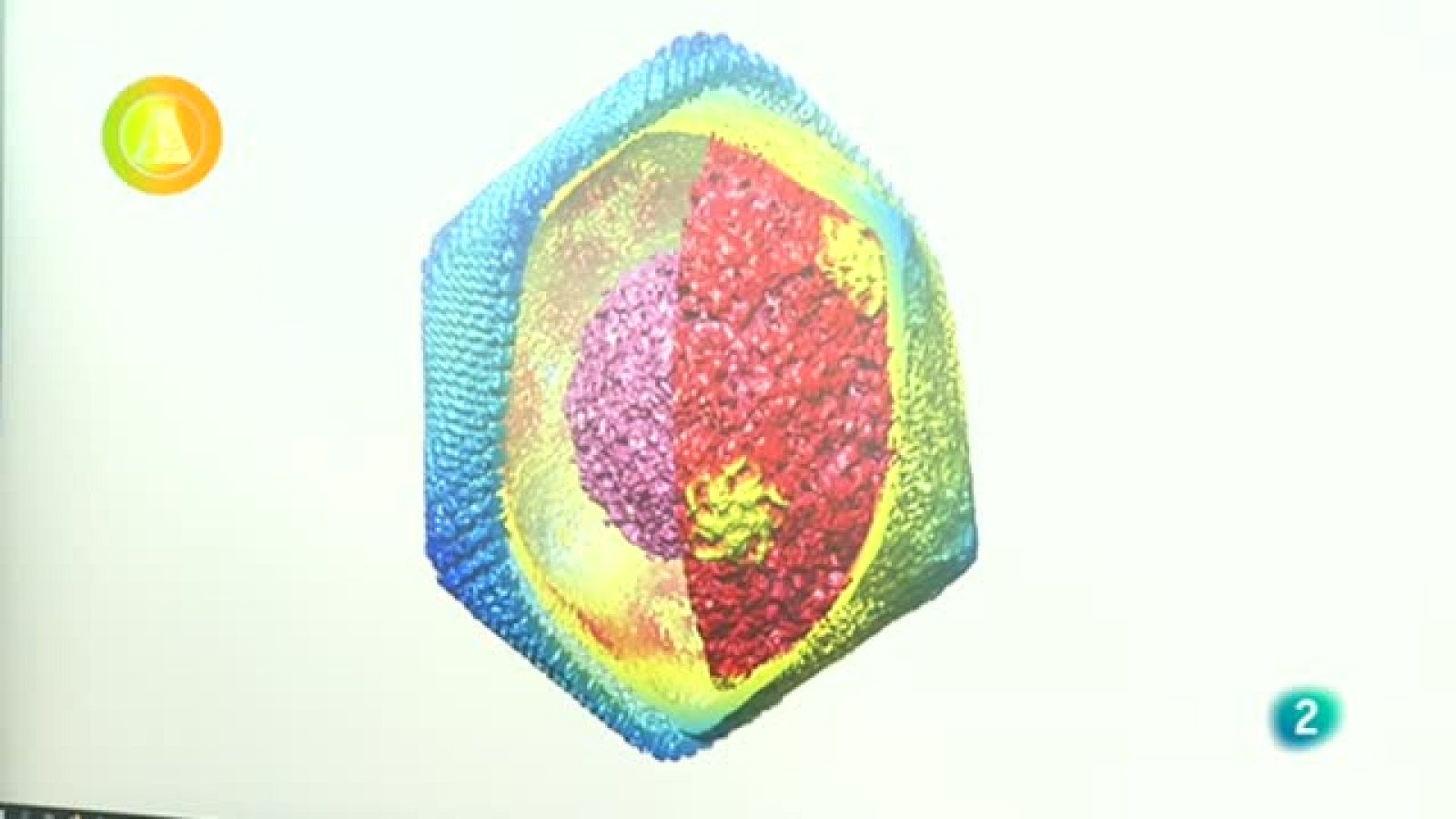 Laboratorio de ideas, PPA