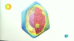 Laboratorio de ideas, PPA