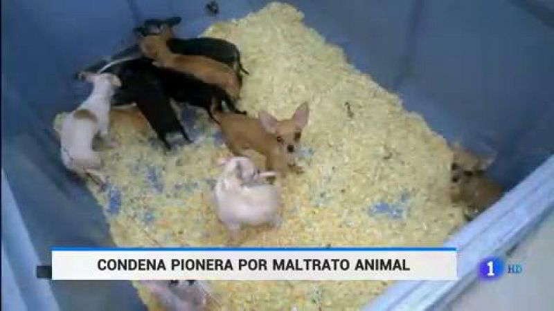 Primera condena en España por maltrato animal para los propietarios de una tienda de mascotas