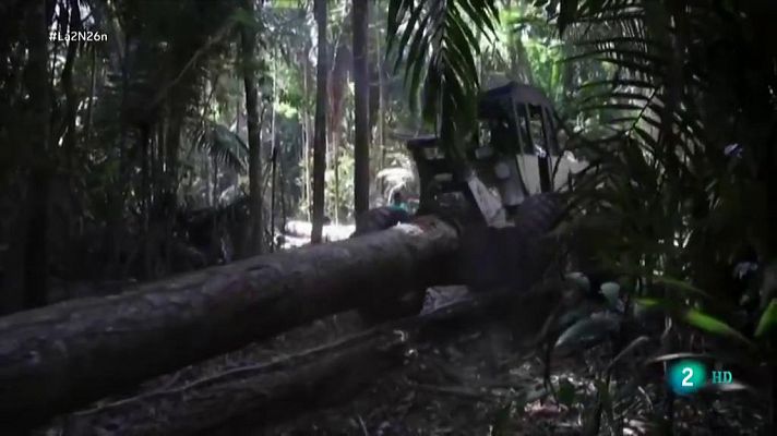 La 2 Noticias - Denuncian el expolio de la Amazonia