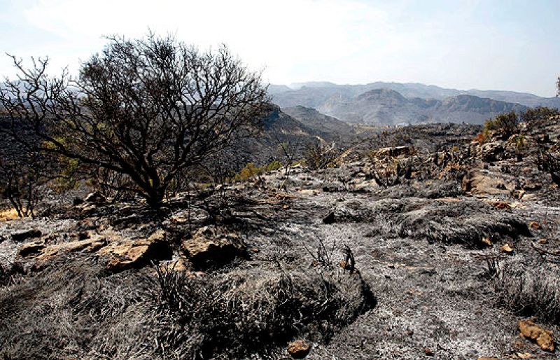 El incendio en la Sierra Cabrera de Almería ya ha calcinado 4.000 hectáreas y ha obligado a desalojar a unos 500 vecinos.