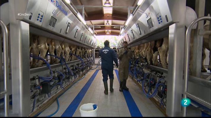 Cinc dies a... - Mas La Coromina