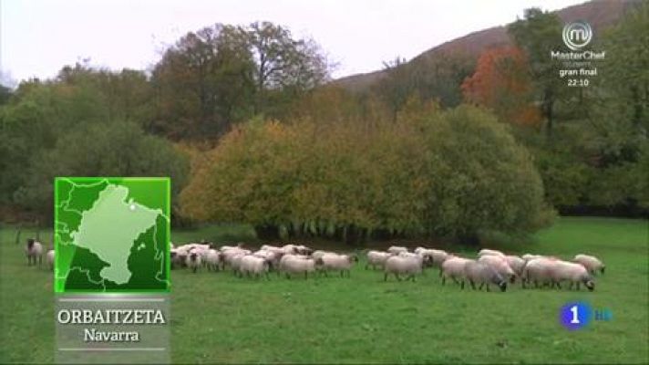 Aquí la Tierra - Conocemos a una pequeña oveja latxa que acaba de nacer