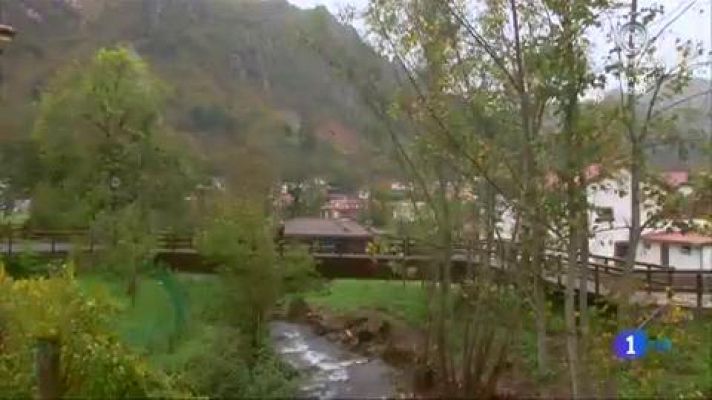 Aquí la Tierra - Cocinamos un plato de ternera asturiana y champiñones