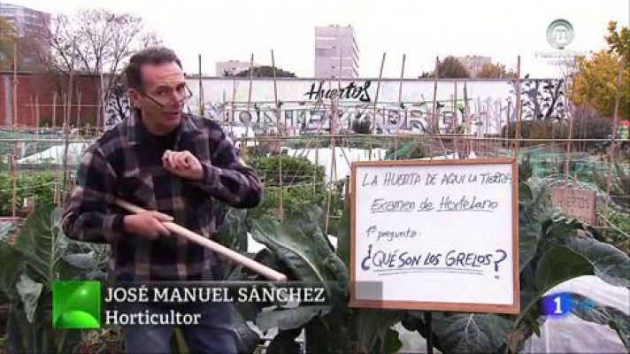 Aquí la Tierra - ¿Qué son los grelos?