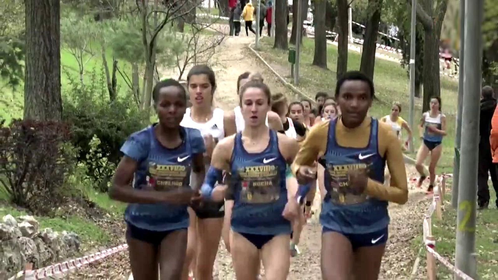 Cross - Cross Internacional de Alcobendas 2019. Resumen - ver ahora
