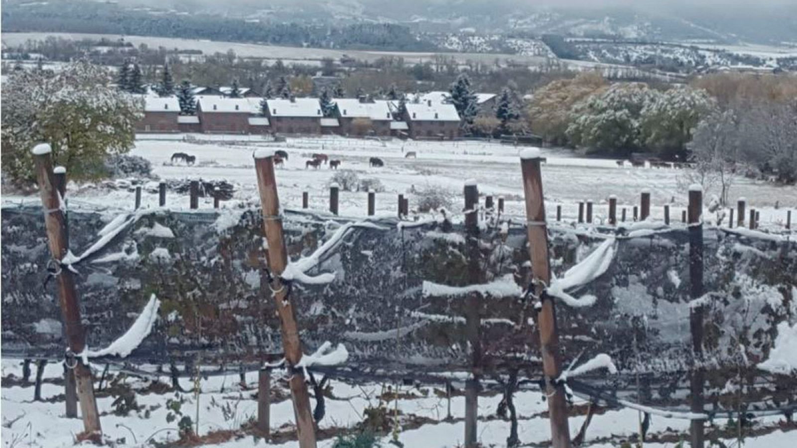 Lab24 - Viticultura al límite