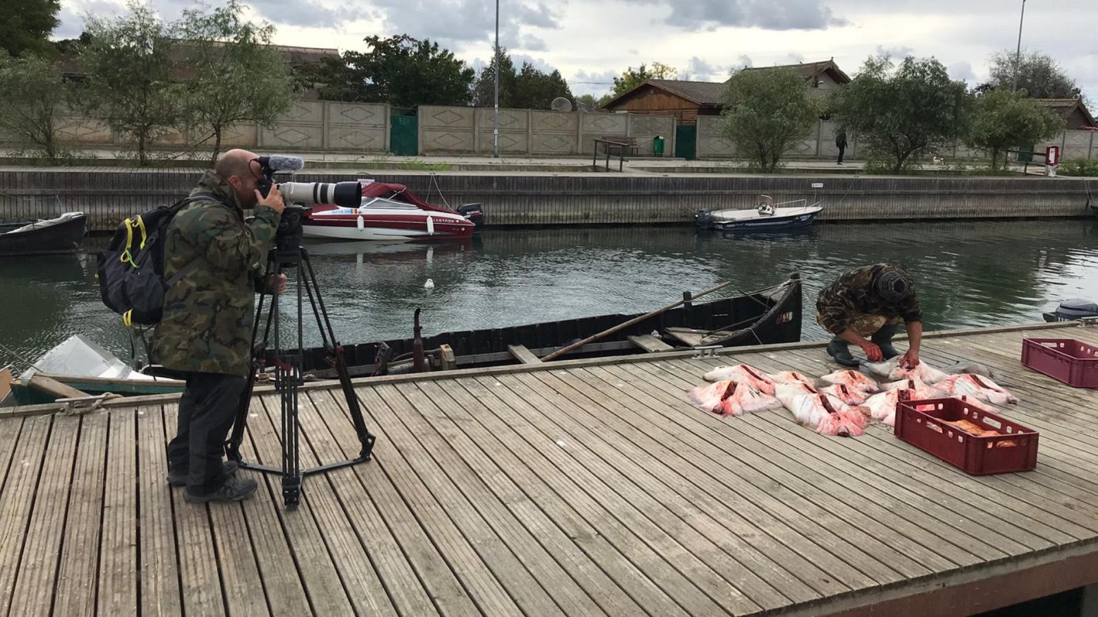 El escarabajo verde - Esturión de vuelta (Primera parte) - ver ahora