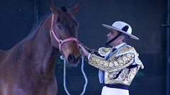 Tendido cero - 30/11/19