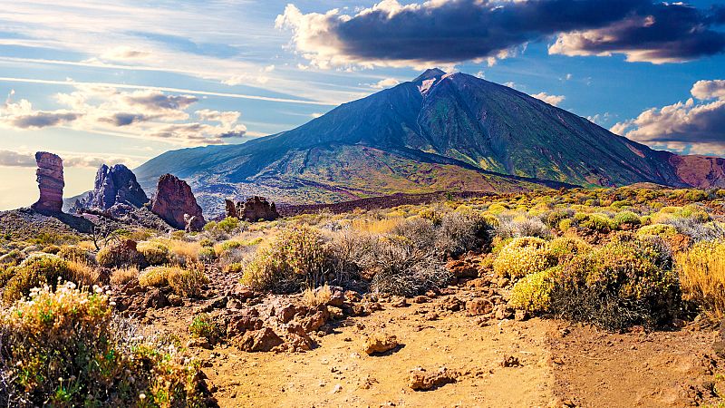 El Parque Nacional del Teide sufre las consecuencias del cambio climático