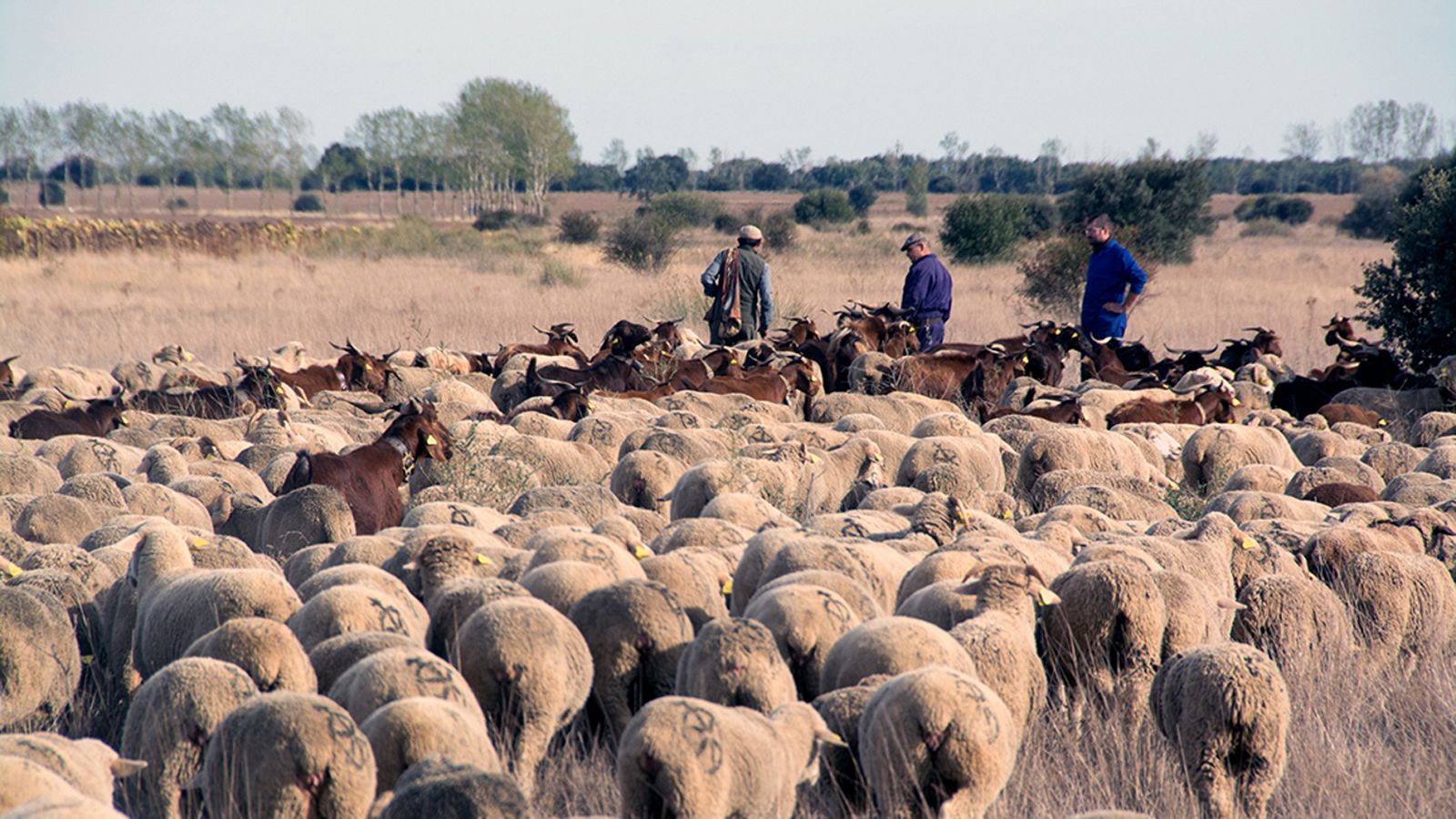 'Barbecho', un documental que muestra el rostro de la España vaciada