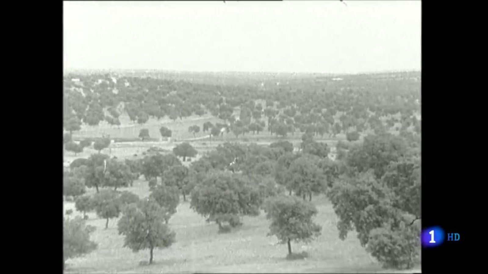 ¿Te acuerdas? El delicado equilibrio de la Dehesa
