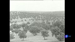 ¿Te acuerdas? - El delicado equilibrio de la dehesa