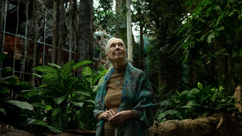 Jane Goodall, Jacques Cousteau, Chico Mendes o Félix Rodríguez de la Fuente, pioneros de la lucha medioambiental