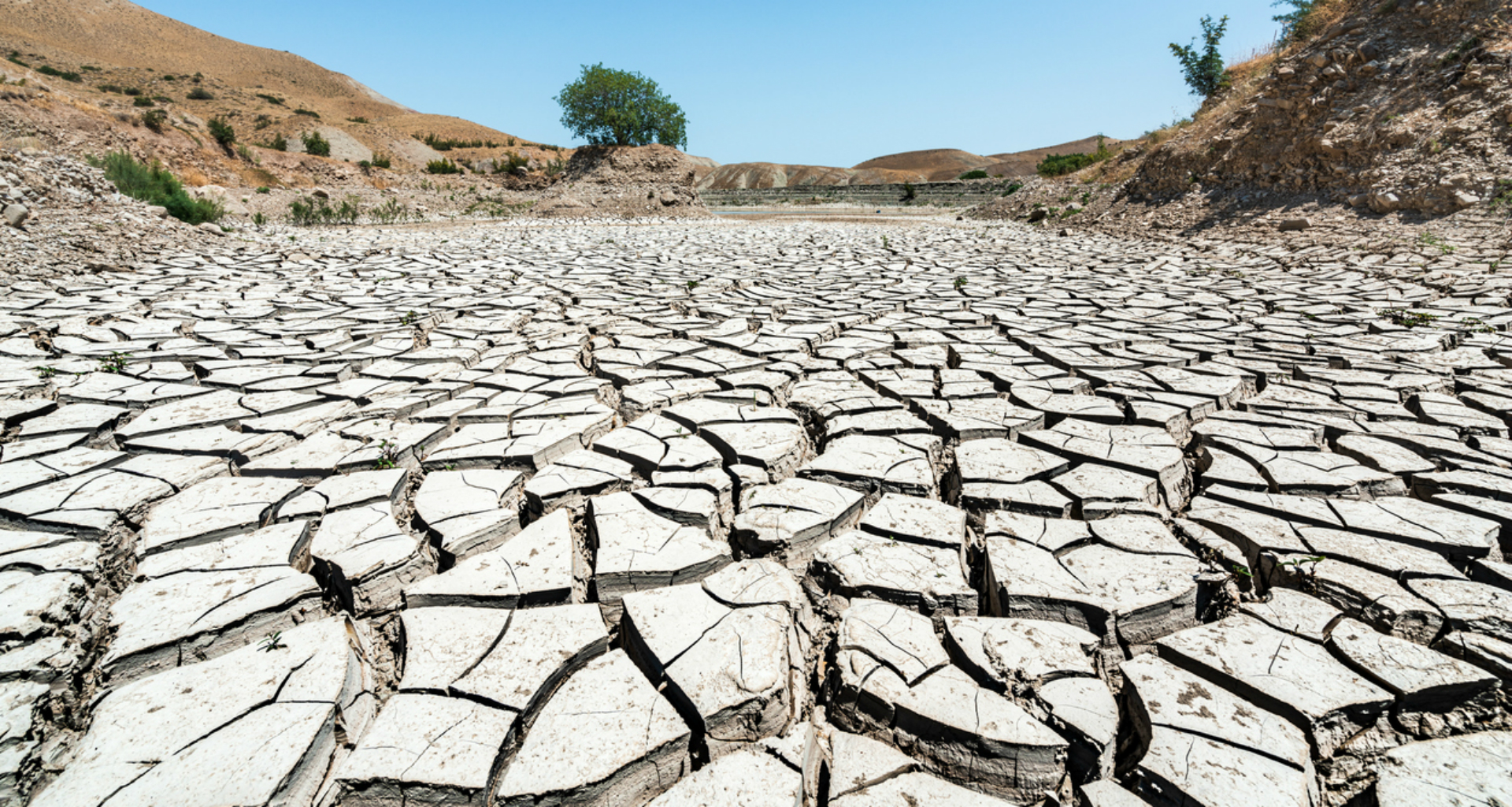 La Mañana: Investigación: Las Consecuencias Del Cambio Climático - RTVE.es