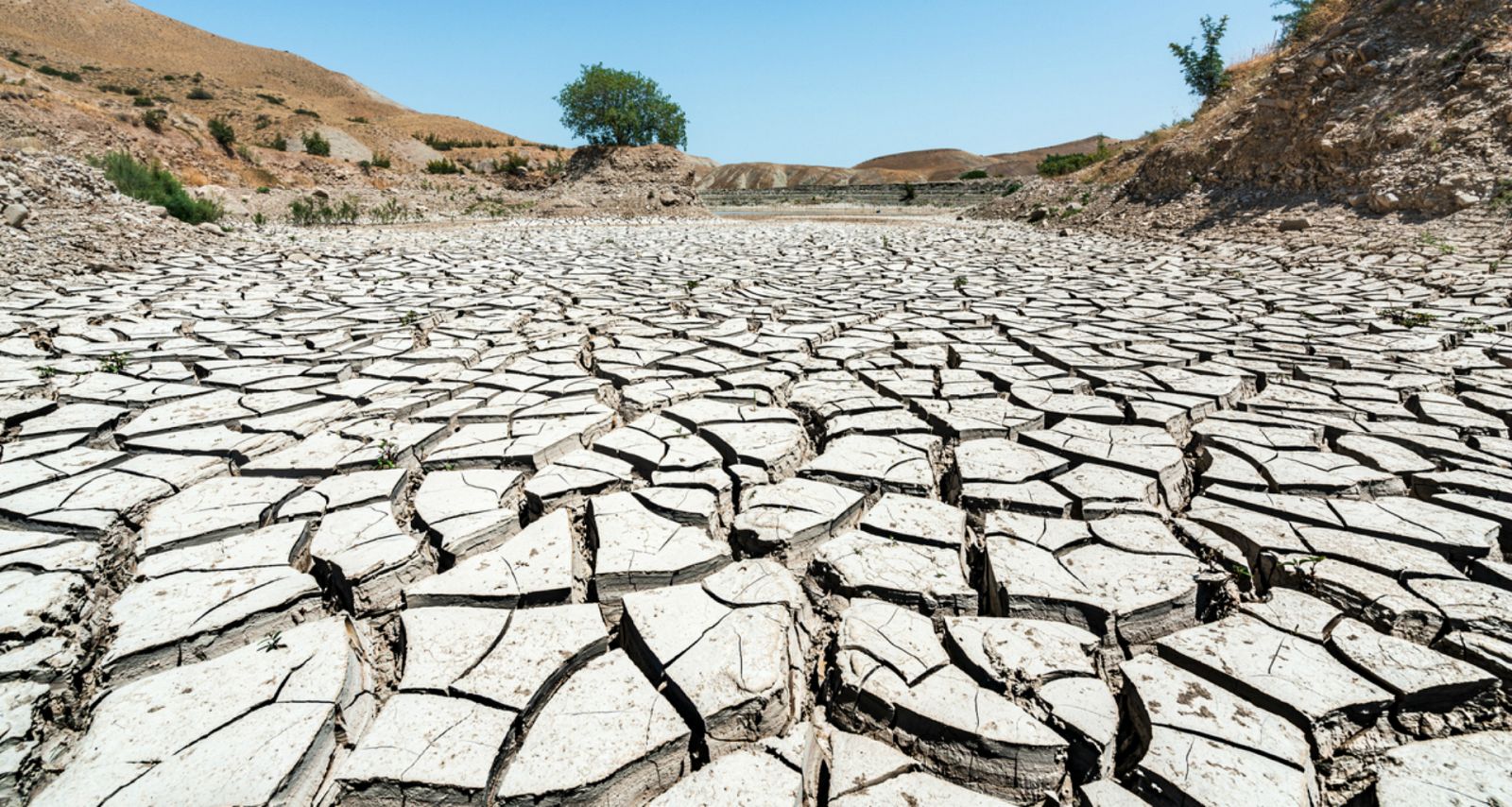 La mañana - Investigación: las consecuencias del cambio climático