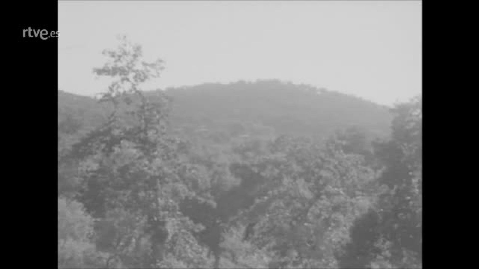 "El corcho en Cortegana (1968) - ¿Te acuerdas? | Ver