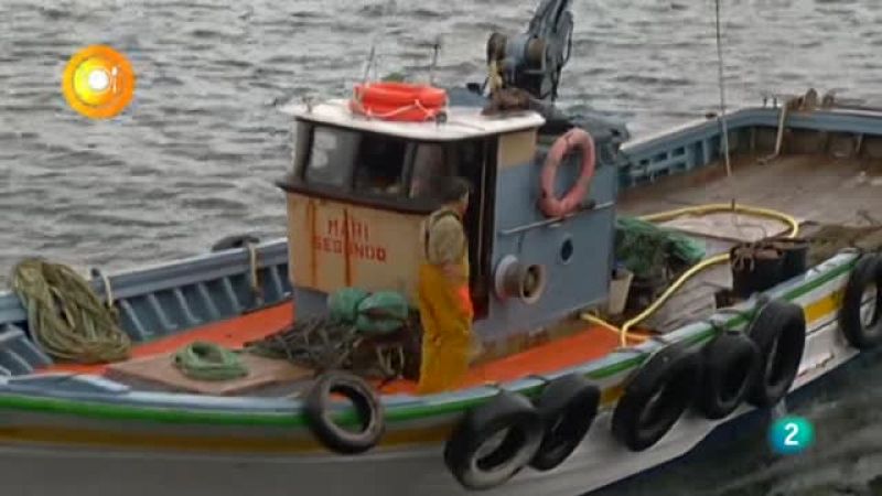 Con mucho gusto, Vieiras