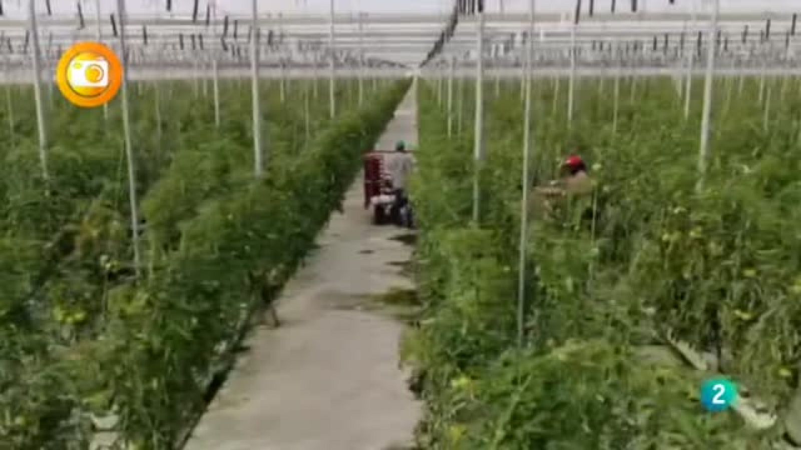 En primer plano, Propiedad tierra