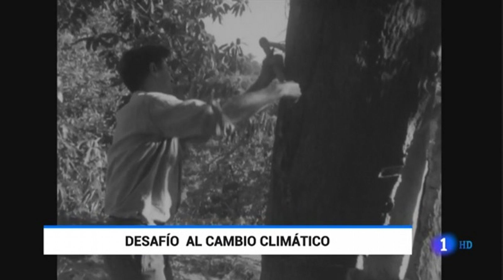 Sin programa: Dehesa y cambio climático | RTVE Play