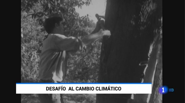  - Dehesa y cambio climático
