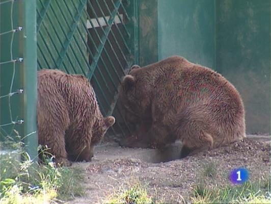 Panorama Regional - Panorama regional - 16/07/09