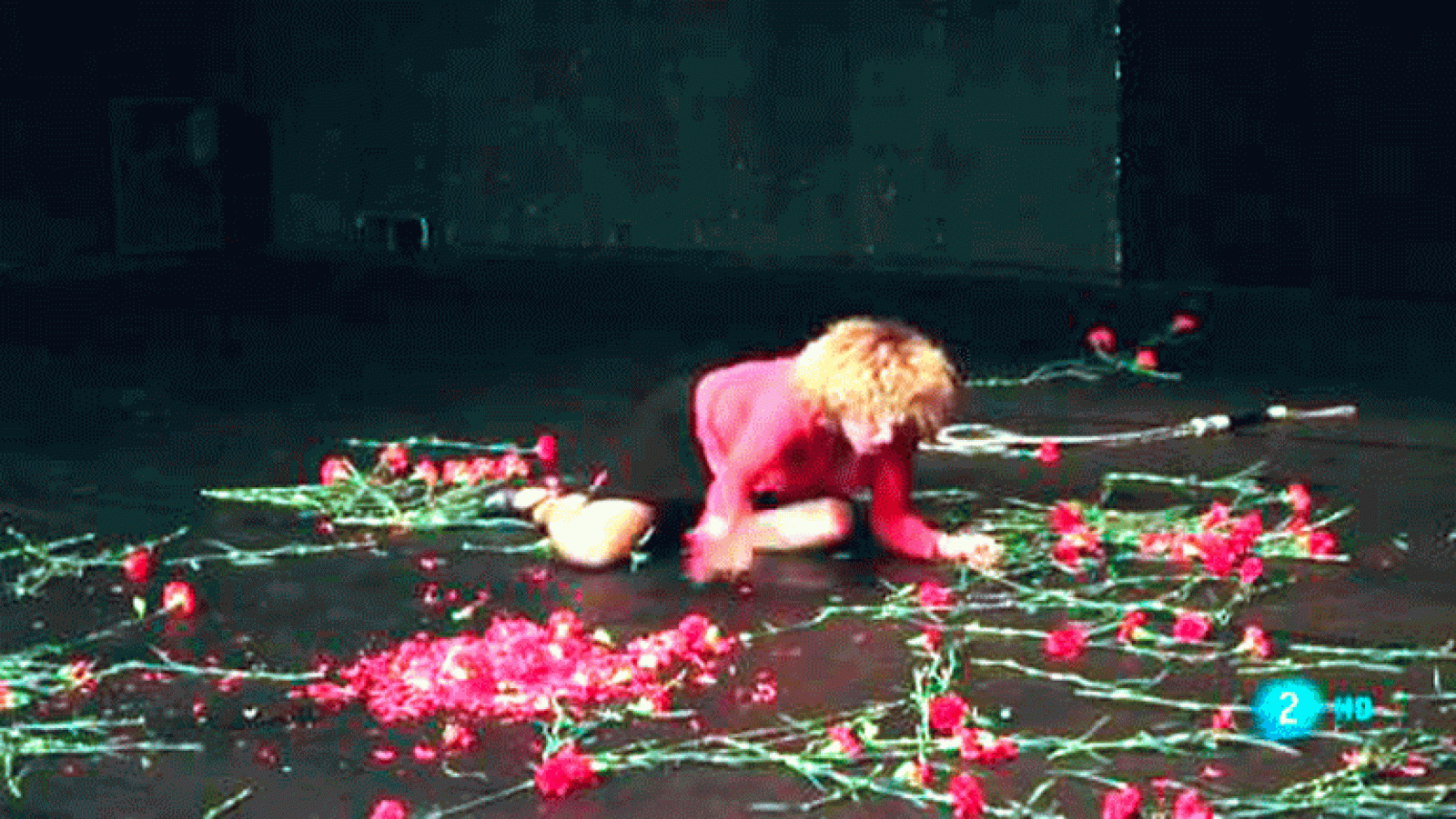 La aventura del saber. Elisa Miravalles la danza y del deporte. LaBolsa, revista de acciones y videocreación