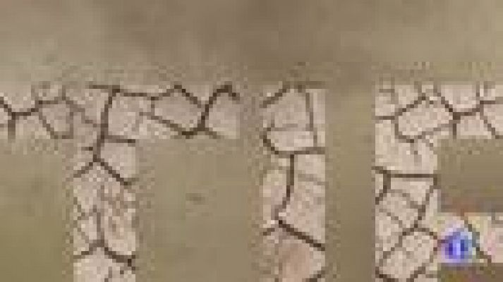 Informativo Telerioja - El tiempo en La Rioja - 02/12/19