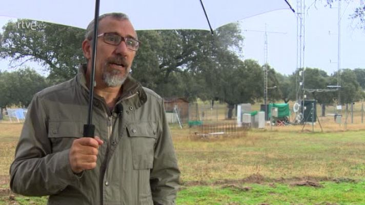 Gerardo Moreno: " La dehesa es un ecosistema neutral en el fluyo de CO2"