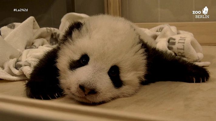 La 2 Noticias - La 2 Noticias - 02/12/19