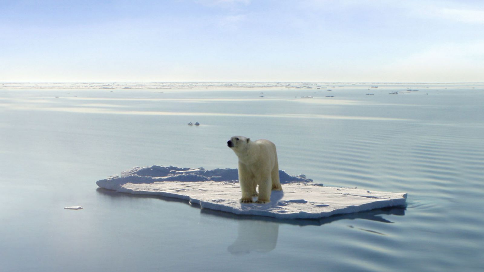 COP25 | ¿Qué es el efecto invernadero? - RTVE.es