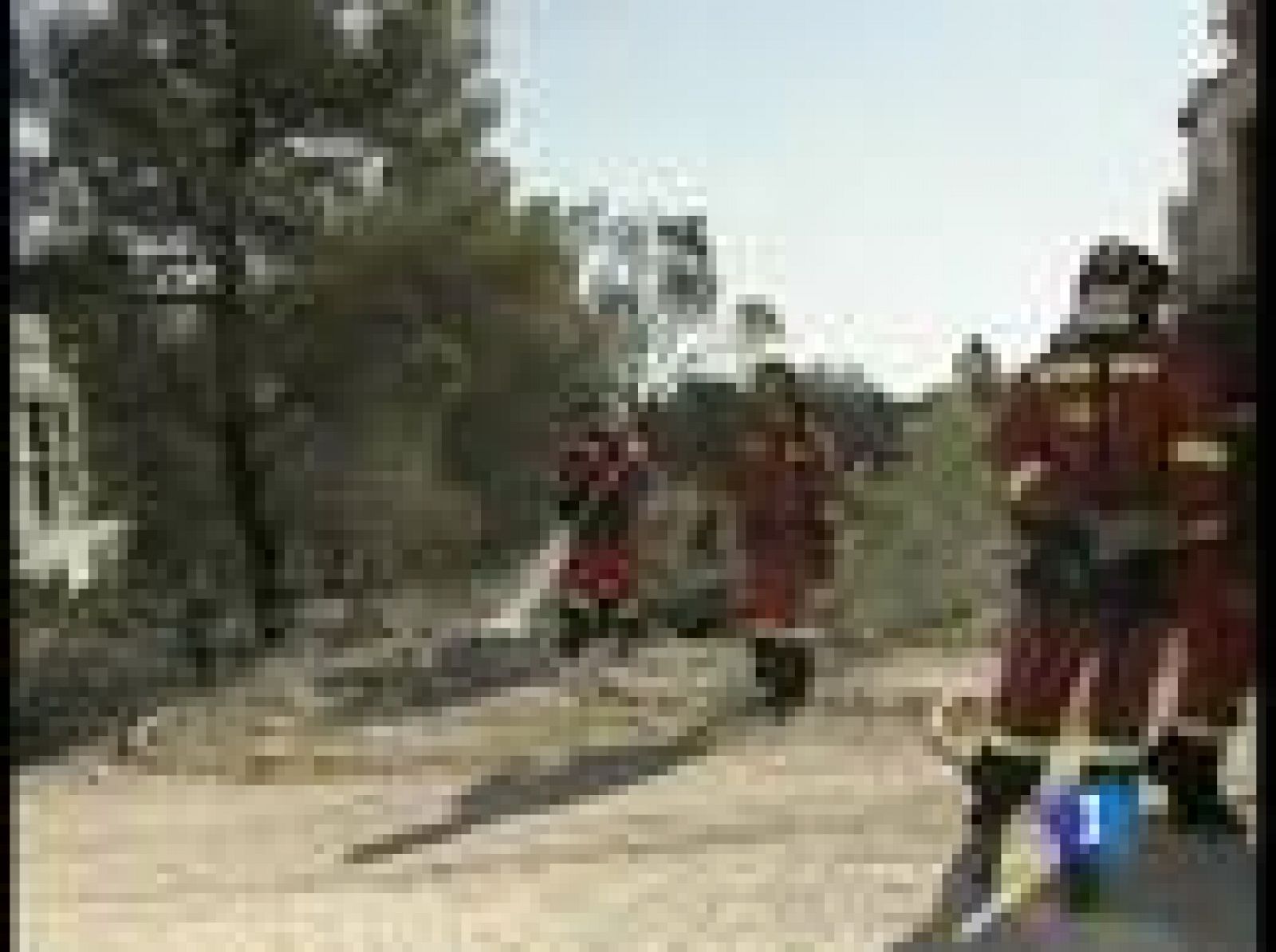 Un proyectil podría haber sido la causa de otro incendio, en el campo militar de Chinchilla, según ha dicho el Delegado de medio ambiente de Albacete.