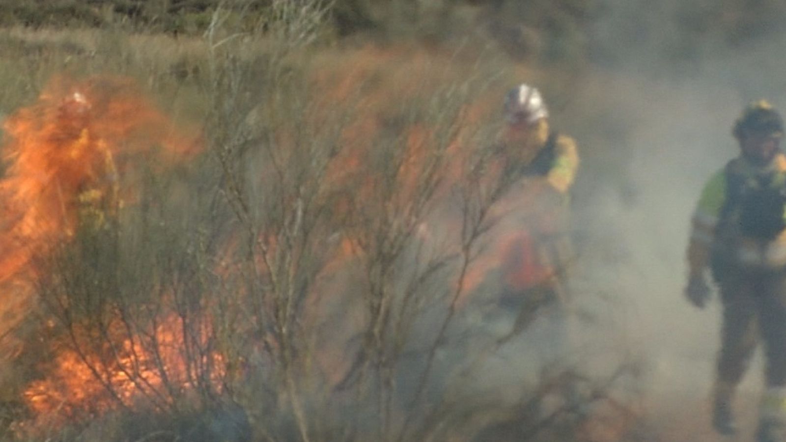 Comando Actualidad - Cómplices del cambio