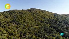 Turismo rural, Castaño del Robledo