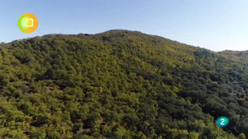 Turismo rural, Castaño del Robledo