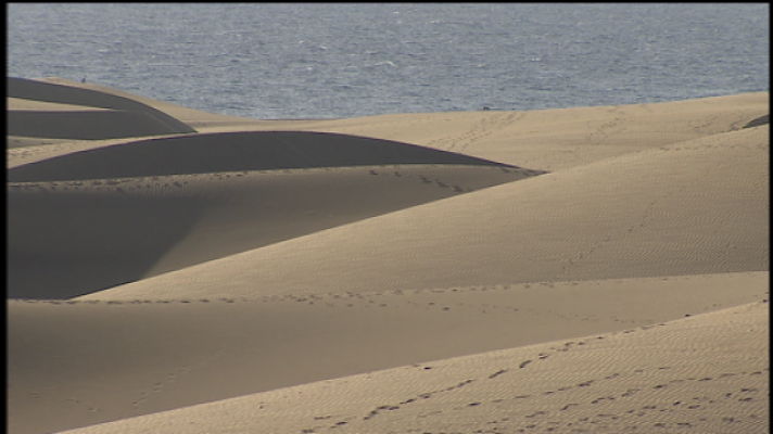 Telecanarias - Telecanarias 2 - 02/12/2019