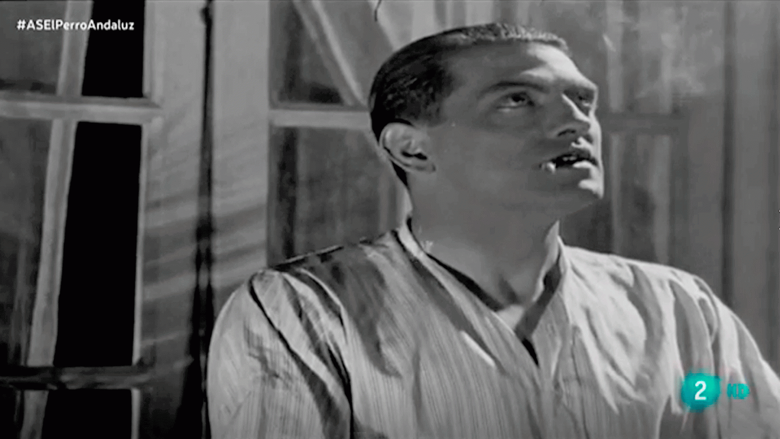 La aventura del saber. Un perro andaluz Pilar Carrera y Jenaro Talens Buñuel