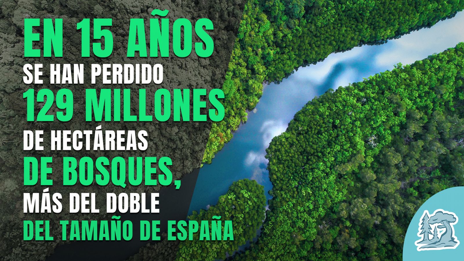 Cumbre del Clima: Un bosque bien cuidado, garantía para un mundo más sostenible