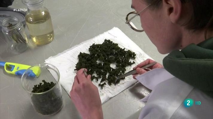 La acuacultura una nueva forma de entender que el cultivo de algas