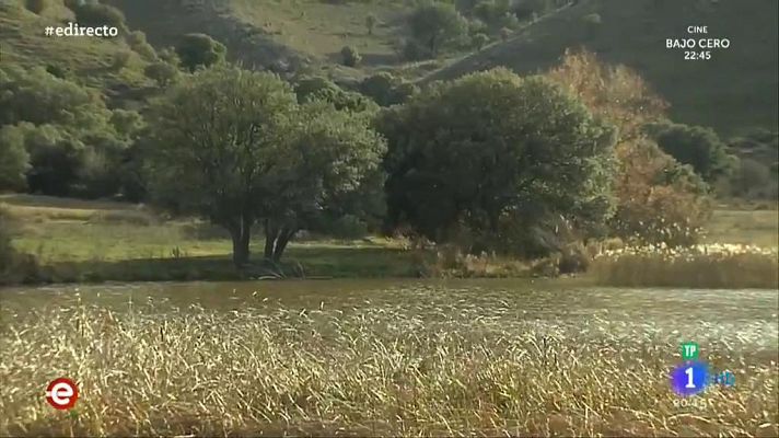 Soria se convierte en la capital de la trufa