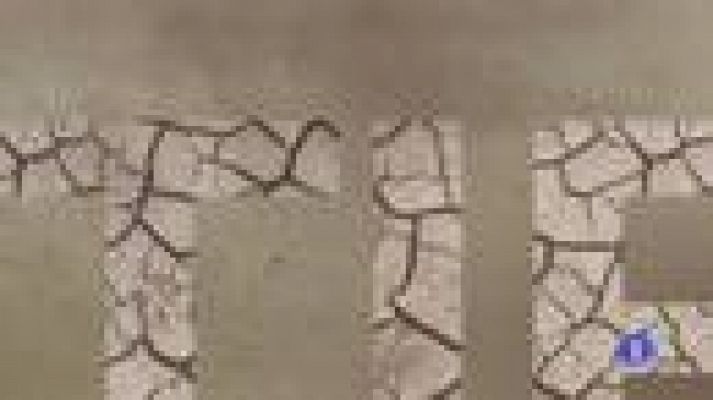 Noticias de Castilla-La Mancha - El Tiempo en Castilla-La Mancha - 04/12/19