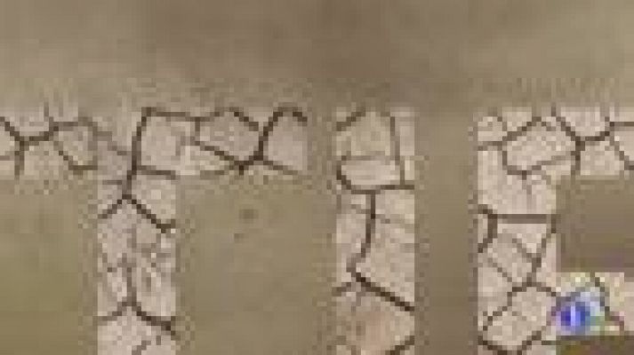 Noticias Murcia - El Tiempo en la Region de Murcia - 04/12/2019