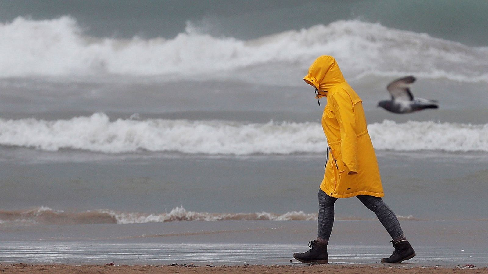 Precipitaciones muy fuertes y con tormenta en el este peninsular y Baleares - Ver ahora