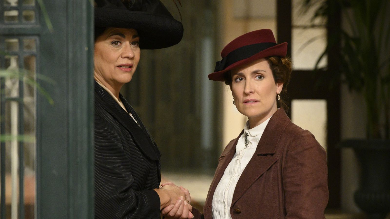 Acacias 38 - Capítulo 1154 - Ver ahora